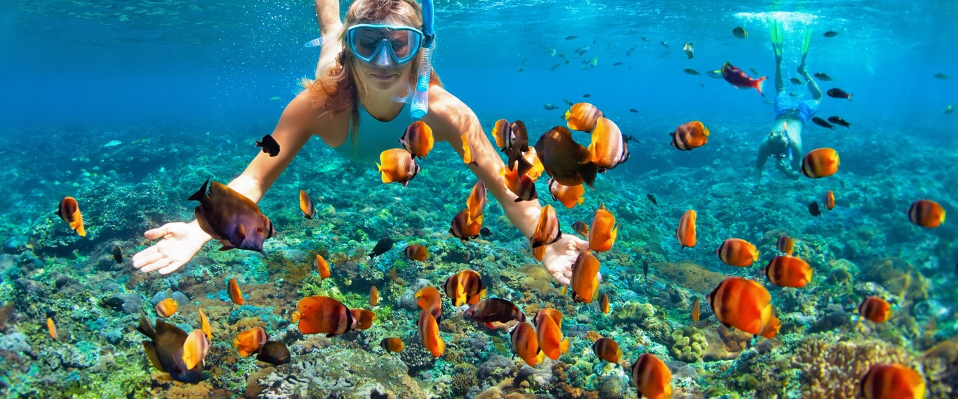 Descubriendo las joyas ocultas del buceo en Cataluña