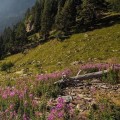 Explorando los diversos climas de Cataluña
