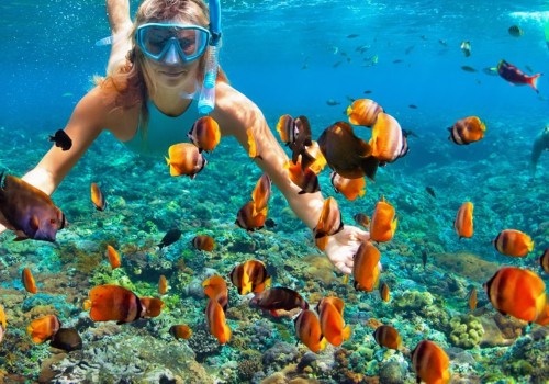 Descubriendo las joyas ocultas del buceo en Cataluña
