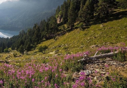 Explorando los diversos climas de Cataluña