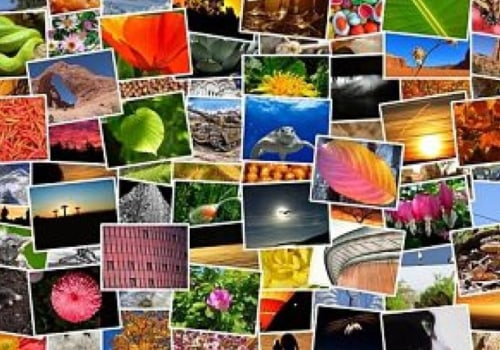 Los tipos de turismo más populares del mundo